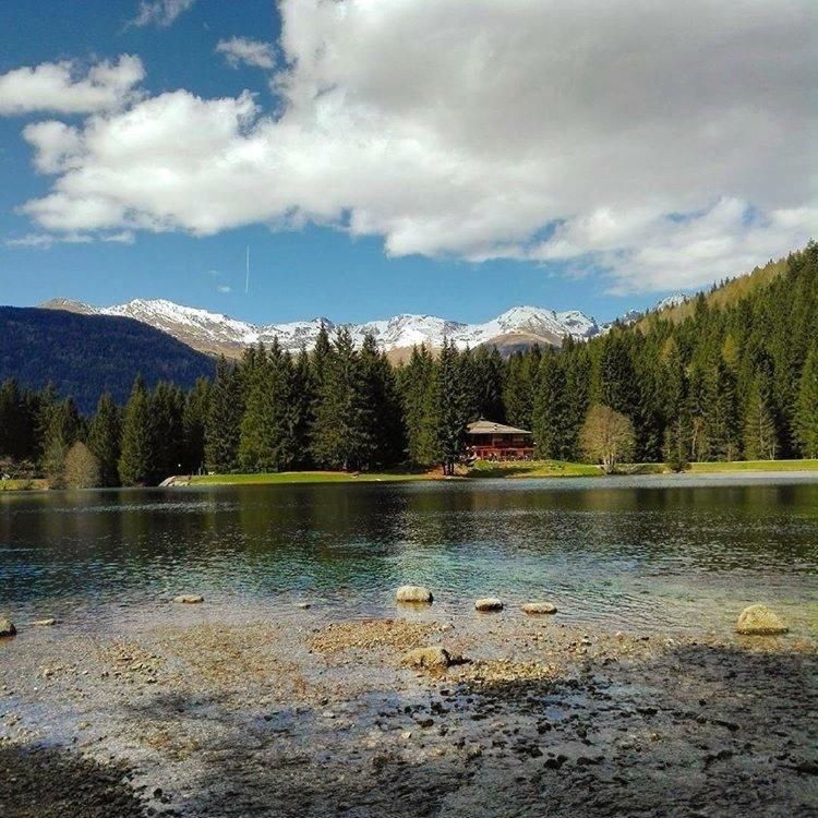 Appartamenti Clelia Pellizzano Esterno foto